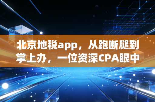 北京地税app,从跑断腿到掌上办,一位资深CPA眼中的税务数字化变迁
