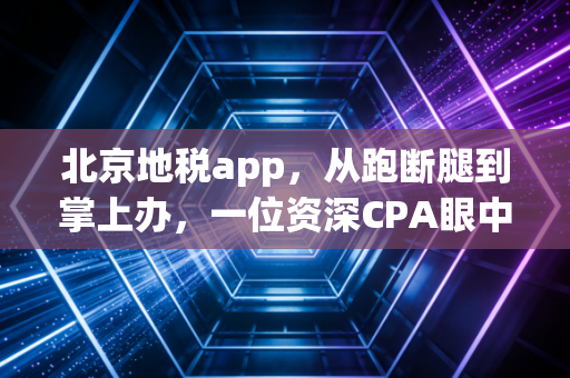 北京地税app,从跑断腿到掌上办,一位资深CPA眼中的税务数字化变迁