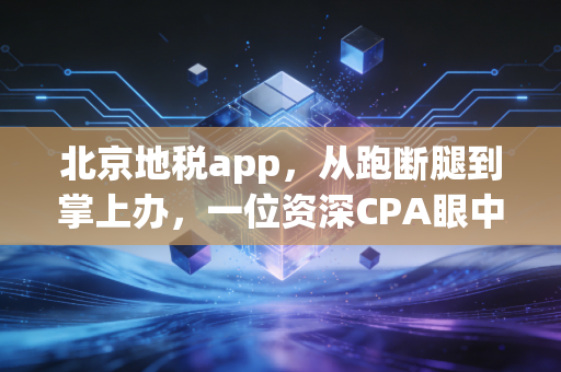 北京地税app，从跑断腿到掌上办，一位资深CPA眼中的税务数字化变迁