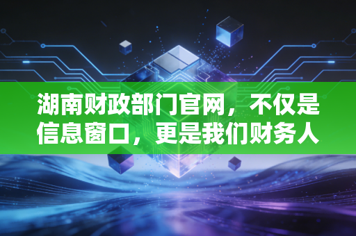 湖南财政部门官网，不仅是信息窗口，更是我们财务人的避坑指南与政策风向标