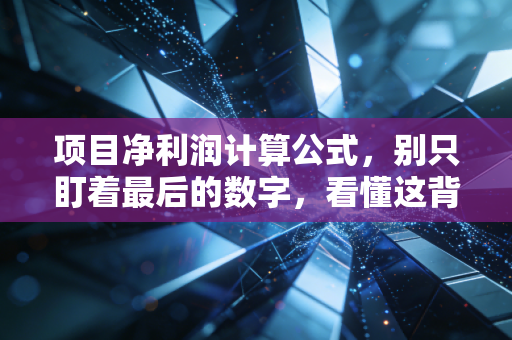 项目净利润计算公式，别只盯着最后的数字，看懂这背后的商业逻辑才是真本事