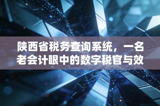陕西省税务查询系统，一名老会计眼中的数字税官与效率革命