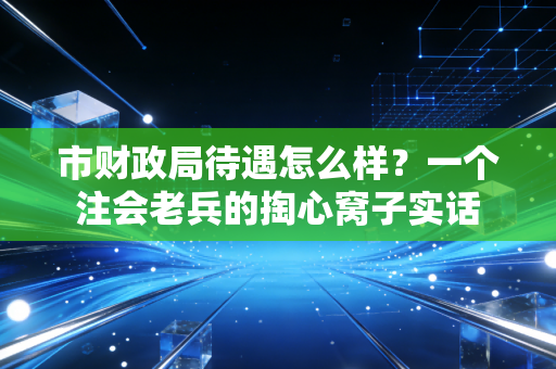 市财政局待遇怎么样？一个注会老兵的掏心窝子实话