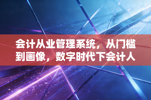 会计从业管理系统，从门槛到画像，数字时代下会计人的隐形枷锁与护身符