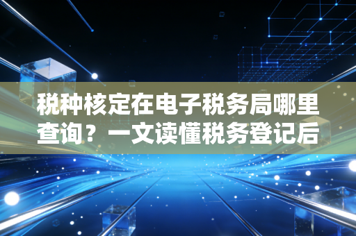 税种核定在电子税务局哪里查询？一文读懂税务登记后的生死线