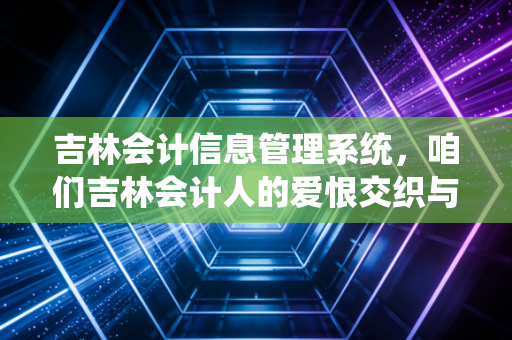 吉林会计信息管理系统,咱们吉林会计人的爱恨交织与数字化生存指南
