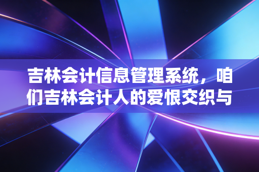 吉林会计信息管理系统，咱们吉林会计人的爱恨交织与数字化生存指南