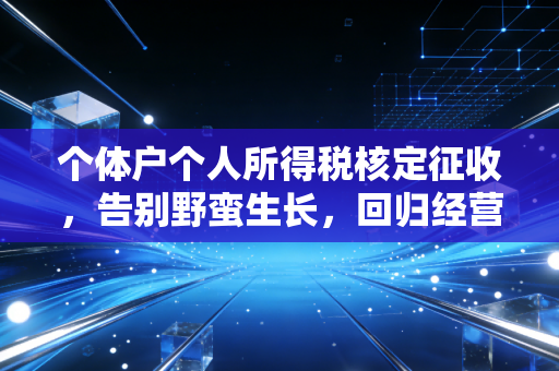 个体户个人所得税核定征收，告别野蛮生长，回归经营本质
