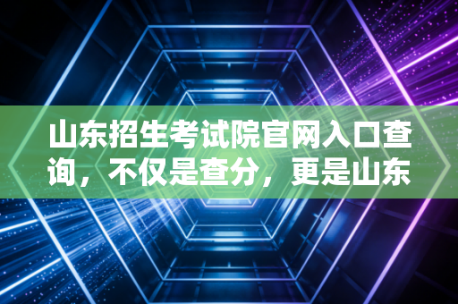 山东招生考试院官网入口查询,不仅是查分,更是山东会计人职业生涯的起点