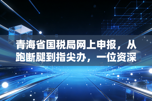 青海省国税局网上申报，从跑断腿到指尖办，一位资深CPA眼中的税务数字化变迁