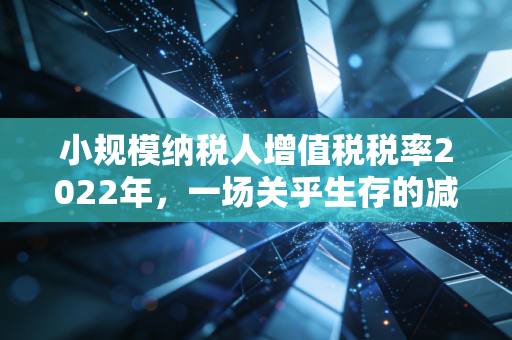 小规模纳税人增值税税率2022年，一场关乎生存的减负狂欢与实操避坑指南