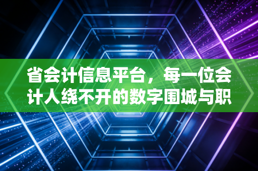 省会计信息平台，每一位会计人绕不开的数字围城与职业跳板