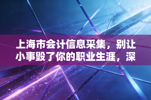 上海市会计信息采集,别让小事毁了你的职业生涯,深度解析与实操指南