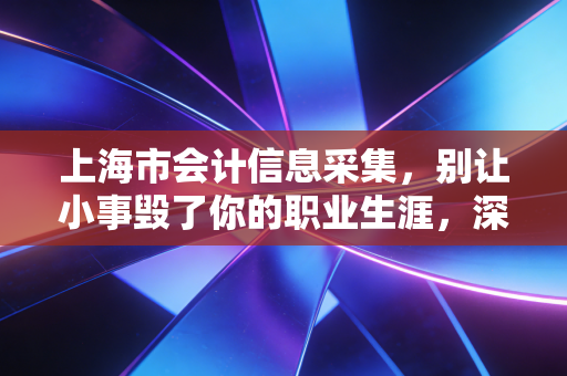 上海市会计信息采集，别让小事毁了你的职业生涯，深度解析与实操指南