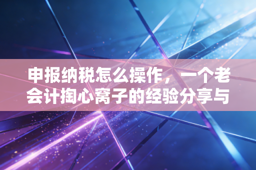 申报纳税怎么操作，一个老会计掏心窝子的经验分享与避坑指南