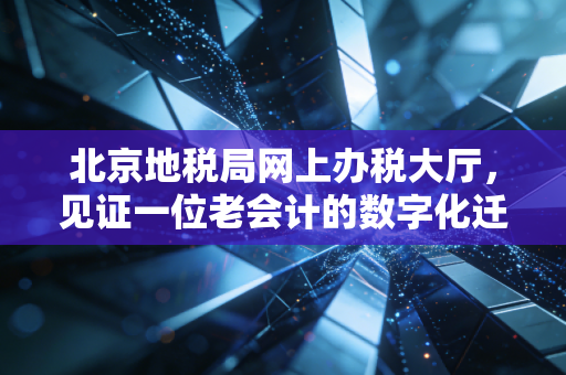 北京地税局网上办税大厅，见证一位老会计的数字化迁徙与情感变迁
