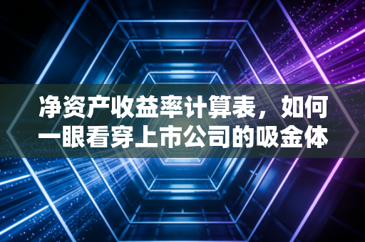 净资产收益率计算表，如何一眼看穿上市公司的吸金体质