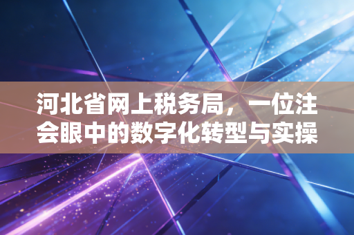 河北省网上税务局，一位注会眼中的数字化转型与实操指南