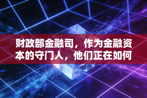 财政部金融司，作为金融资本的守门人，他们正在如何重塑注会行业的审计逻辑？