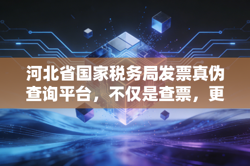 河北省国家税务局发票真伪查询平台，不仅是查票，更是守护你的钱袋子