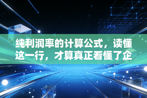 纯利润率的计算公式，读懂这一行，才算真正看懂了企业的钱袋子