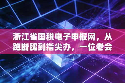浙江省国税电子申报网，从跑断腿到指尖办，一位老会计的数字化感悟