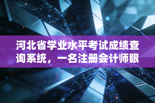 河北省学业水平考试成绩查询系统，一名注册会计师眼中的人生初考与数据背后的焦虑