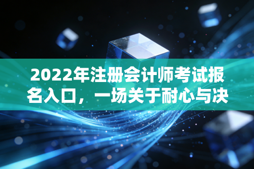 2022年注册会计师考试报名入口，一场关于耐心与决心的通关游戏