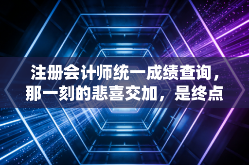 注册会计师统一成绩查询，那一刻的悲喜交加，是终点也是起点