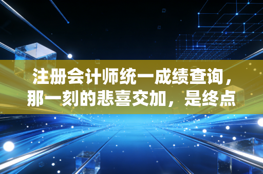 注册会计师统一成绩查询，那一刻的悲喜交加，是终点也是起点