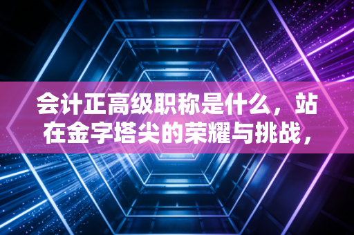 会计正高级职称是什么，站在金字塔尖的荣耀与挑战，你真的了解吗？