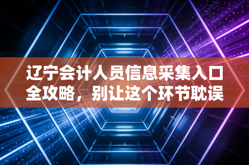 辽宁会计人员信息采集入口全攻略，别让这个环节耽误你的考证和晋升