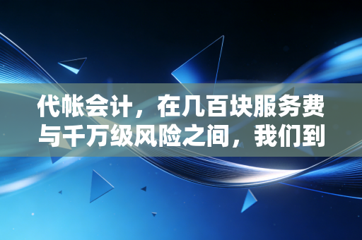 代帐会计，在几百块服务费与千万级风险之间，我们到底在守护什么？