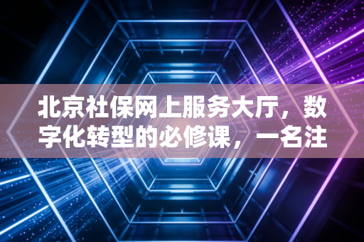 北京社保网上服务大厅，数字化转型的必修课，一名注会眼中的效率与合规