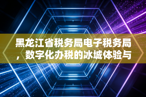 黑龙江省税务局电子税务局，数字化办税的冰城体验与实务思考