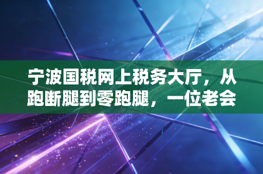 宁波国税网上税务大厅,从跑断腿到零跑腿,一位老会计的数字化进阶实录