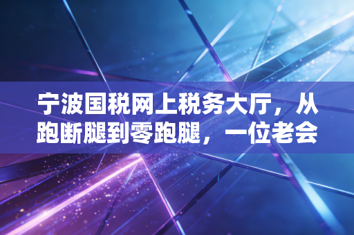 宁波国税网上税务大厅，从跑断腿到零跑腿，一位老会计的数字化进阶实录