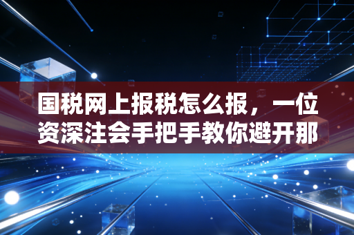 国税网上报税怎么报，一位资深注会手把手教你避开那些坑