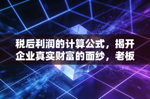 税后利润的计算公式,揭开企业真实财富的面纱,老板到底赚了多少钱?