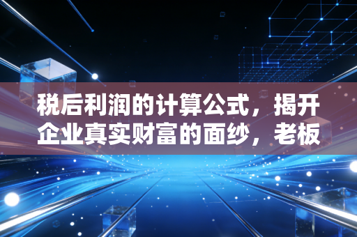 税后利润的计算公式,揭开企业真实财富的面纱,老板到底赚了多少钱?