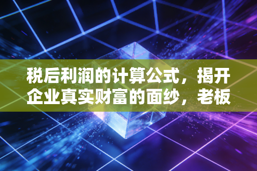 税后利润的计算公式，揭开企业真实财富的面纱，老板到底赚了多少钱？