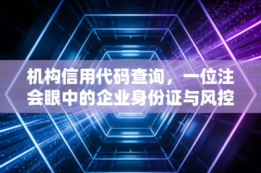 机构信用代码查询,一位注会眼中的企业身份证与风控艺术