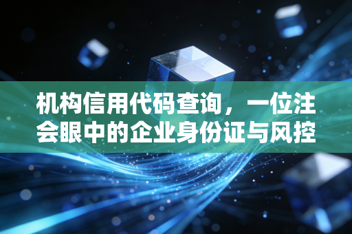 机构信用代码查询，一位注会眼中的企业身份证与风控艺术