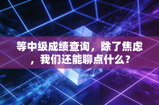 等中级成绩查询，除了焦虑，我们还能聊点什么？