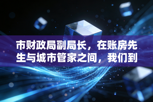 市财政局副局长，在账房先生与城市管家之间，我们到底在守护什么？