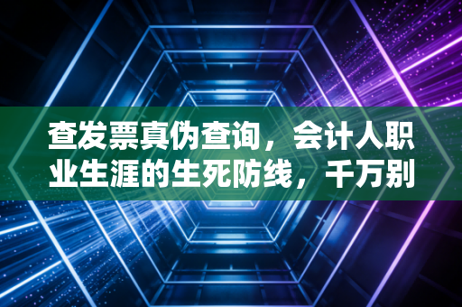 查发票真伪查询，会计人职业生涯的生死防线，千万别不当回事！