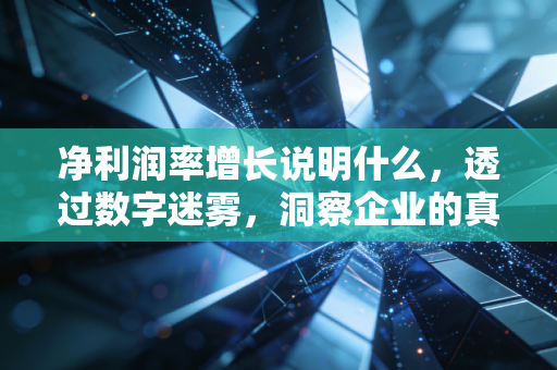 净利润率增长说明什么，透过数字迷雾，洞察企业的真实造血能力与生存智慧