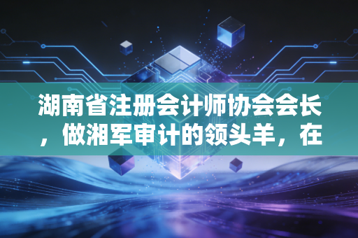 湖南省注册会计师协会会长，做湘军审计的领头羊，在变革中寻找温暖的答案