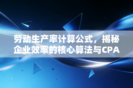 劳动生产率计算公式，揭秘企业效率的核心算法与CPA的独家洞察