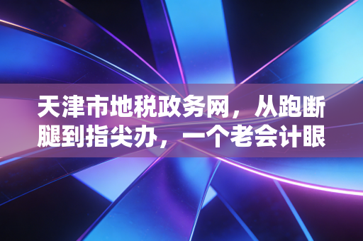 天津市地税政务网,从跑断腿到指尖办,一个老会计眼中的税务数字化变迁